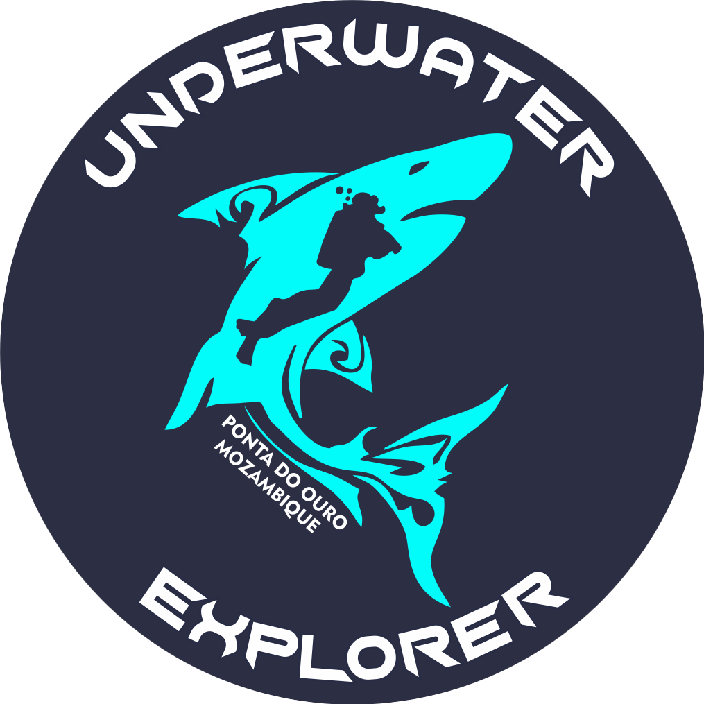 Underwater Explorers